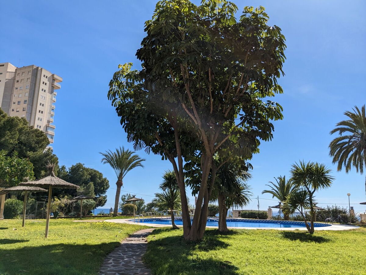 Pintor Sorolla – Appart 65 m² 15e étage, vue mer - Photo 16