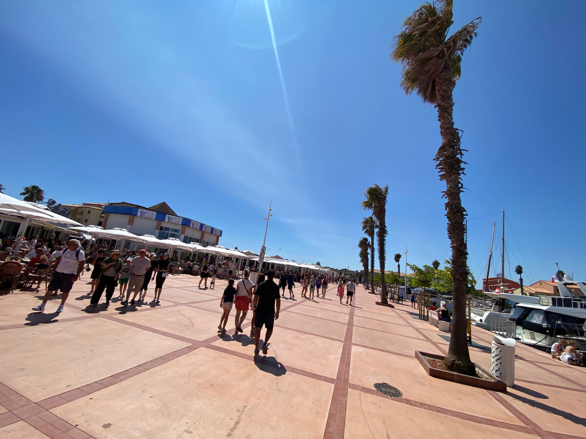 T2 climatisé Port Leucate, 400 m plage, parking privé - Photo 16
