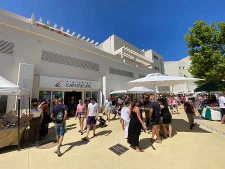 T3 climatisé 6 pers, terrasse, parking - Port Leucate : photo 27