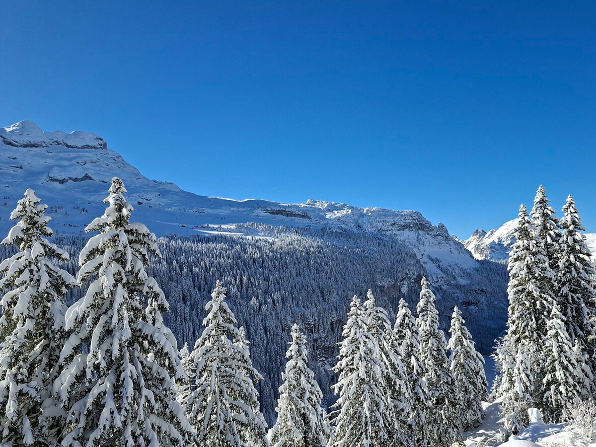 Appart 2 pièces rénové, balcon Sud, 4-5 pers à Flaine - Photo 11