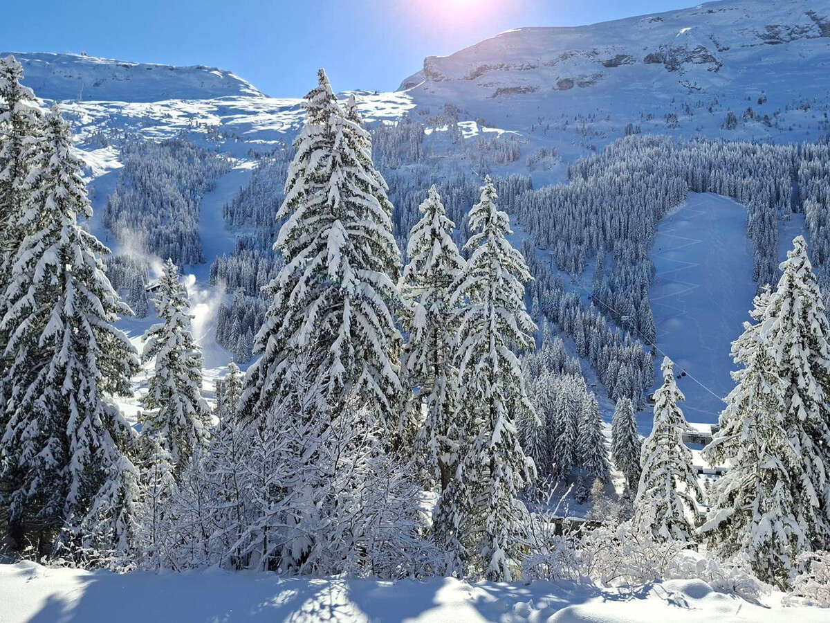 Appart 2 pièces rénové, balcon Sud, 4-5 pers à Flaine - Photo 16