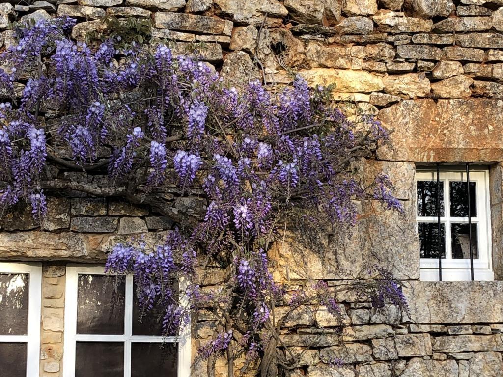 Les Follets – Maison périgourdine avec piscine privée - Photo 15