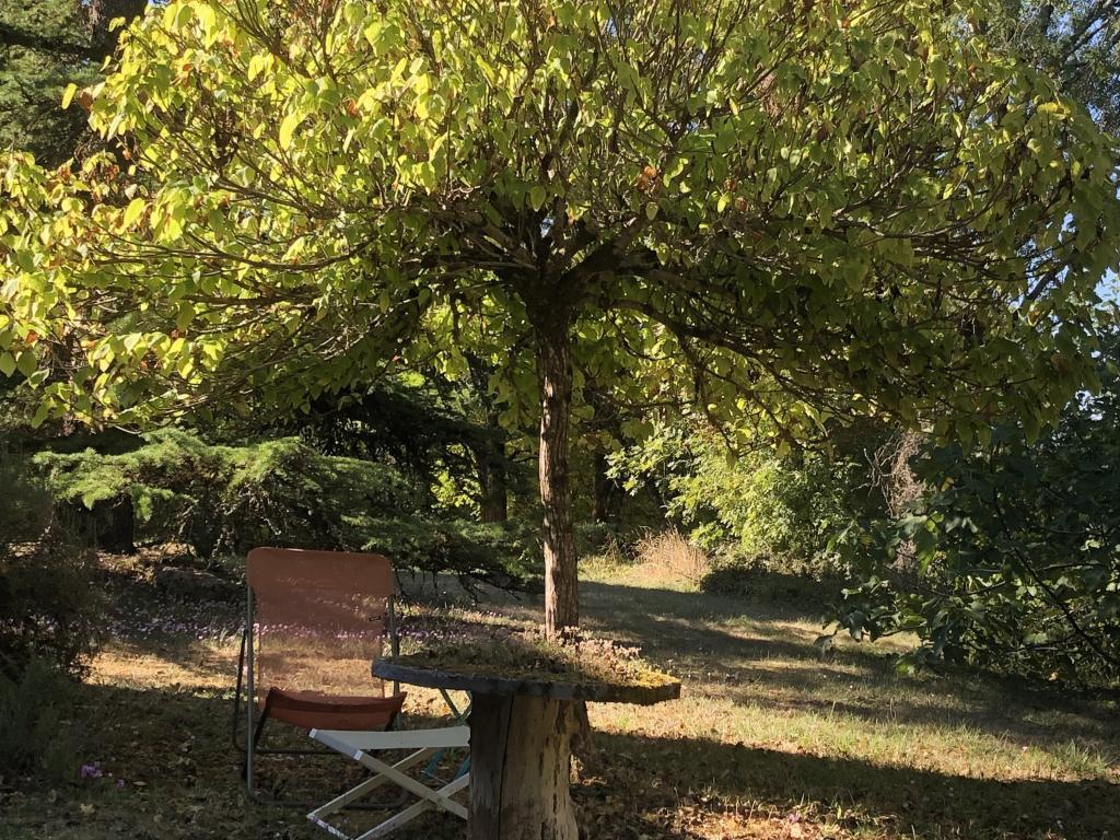 Les Follets – Maison périgourdine avec piscine privée - Photo 38