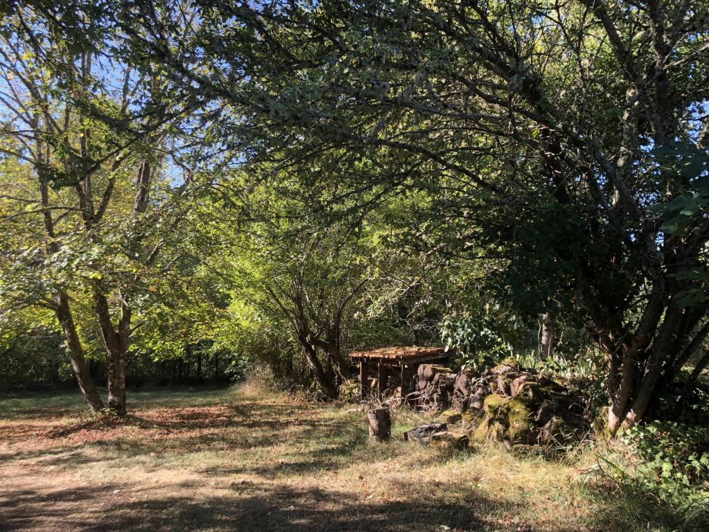 Les Follets – Maison périgourdine avec piscine privée - Photo 39