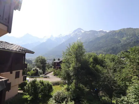 Studio cabine 27 m² face au Mont-Blanc, balcon plein sud : photo 9