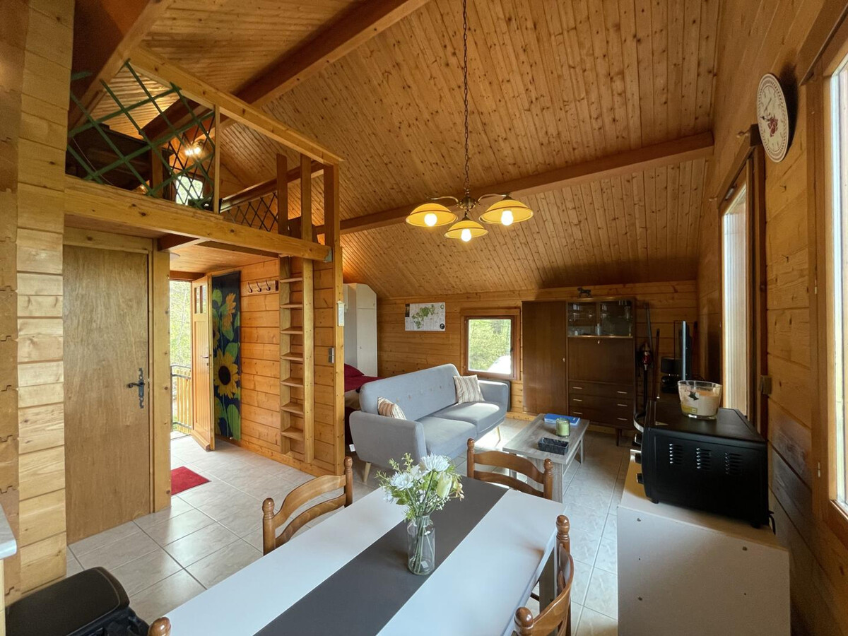 Studio chalet en forêt, vue nature à Saint-Bonnet-Tronçais - Photo 6