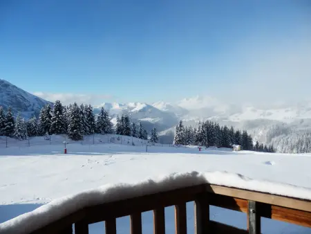 Appartement 8 pers, 3 chambres, ski aux pieds à Avoriaz : photo 15