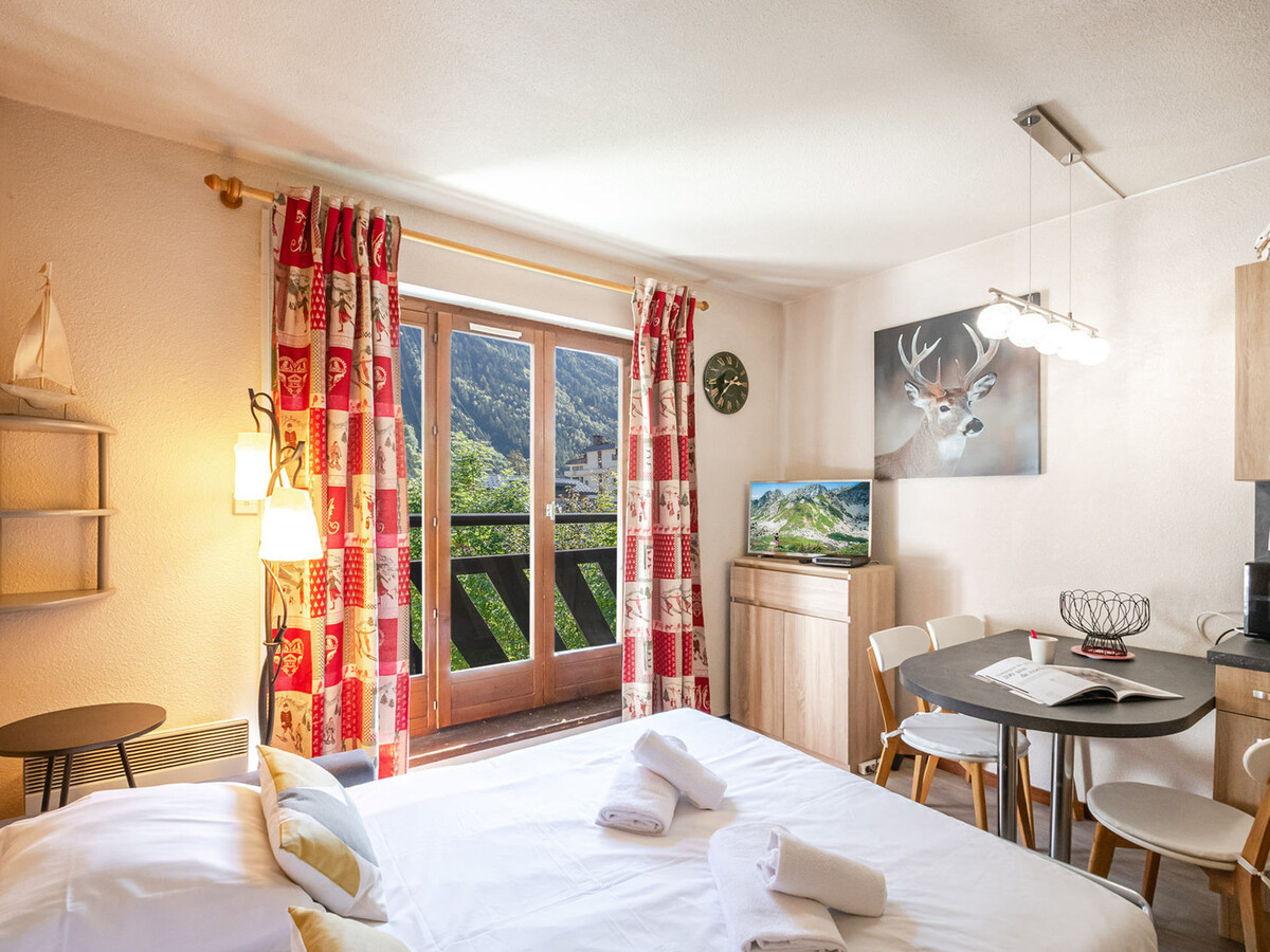 Studio 20m² vue Mont-Blanc, balcon sud, wifi, animaux OK - Photo 10