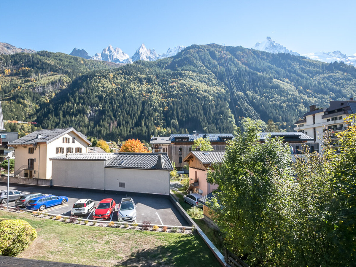 Studio 20m² vue Mont-Blanc, balcon sud, wifi, animaux OK - Photo 15
