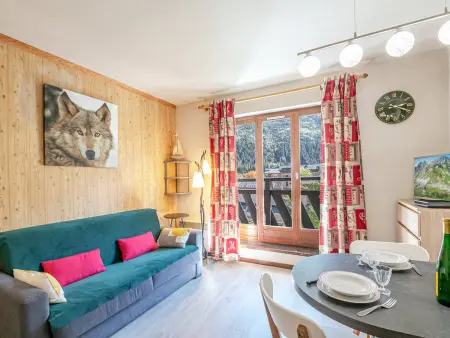 Location appartement à Chamonix Mont Blanc, Studio charmant avec vue Mont-Blanc, Wifi et animaux acceptés