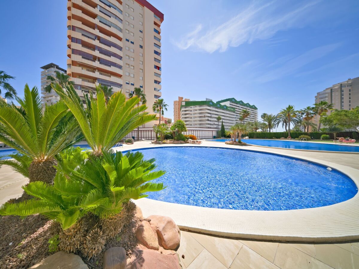 Appartement Coral Beach – 18e étage vue mer, Calpe - Photo 35