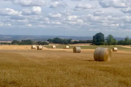 La Vieille Ferme - Maison de campagne à Tannay : photo 23