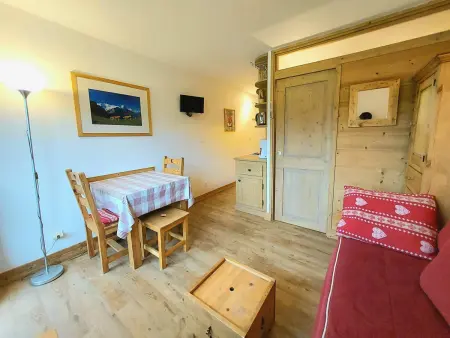 Studio-cabine 4 pers, balcon sud, pieds des pistes : photo 7