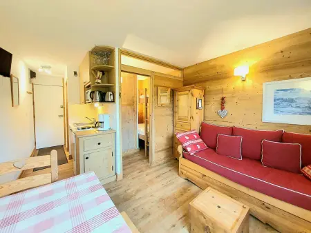Studio-cabine 4 pers, balcon sud, pieds des pistes : photo 8