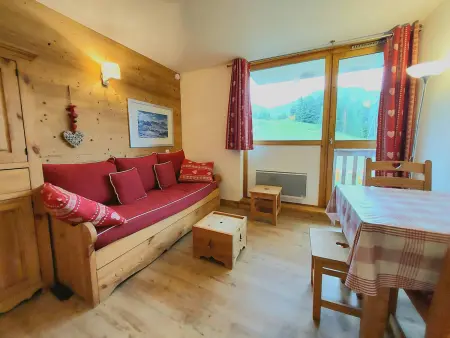Studio-cabine 4 pers, balcon sud, pieds des pistes : photo 10