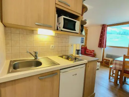 Studio-cabine 4 pers, balcon sud, pieds des pistes : photo 12