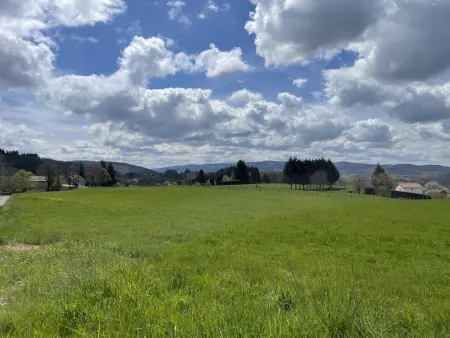 Gîte avec étang privé et 2 hectares à Châtel-Montagne : photo 12