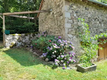 Gîte avec étang privé et 2 hectares à Châtel-Montagne : photo 13