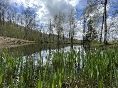 Gîte avec étang privé et 2 hectares à Châtel-Montagne : photo 17