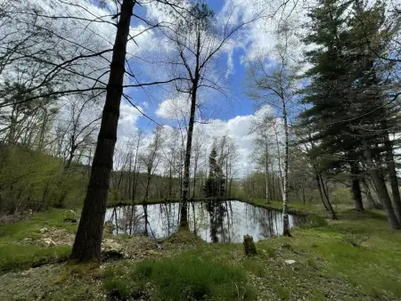 Gîte avec étang privé et 2 hectares à Châtel-Montagne : photo 18