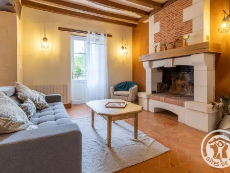 Gîte 11 pers., salle de jeux, jardin 4000m² à Baugé : photo 12