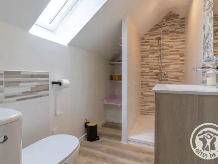 Gîte 11 pers., salle de jeux, jardin 4000m² à Baugé : photo 30