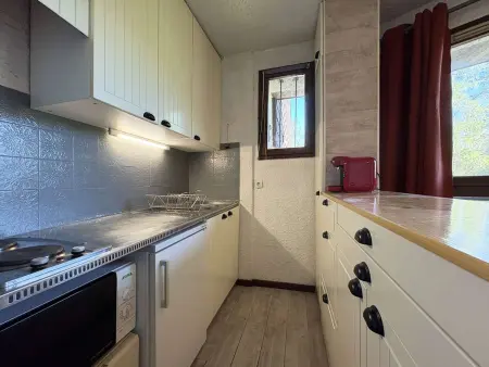 Studio 4 pers. avec balcon vue vallée, Les Orres : photo 4