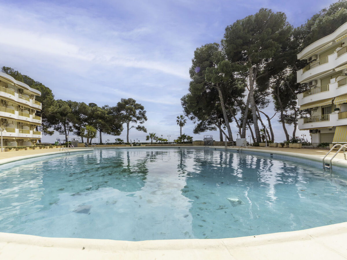 Studio International 34m² face à la mer, Cambrils - Photo 15
