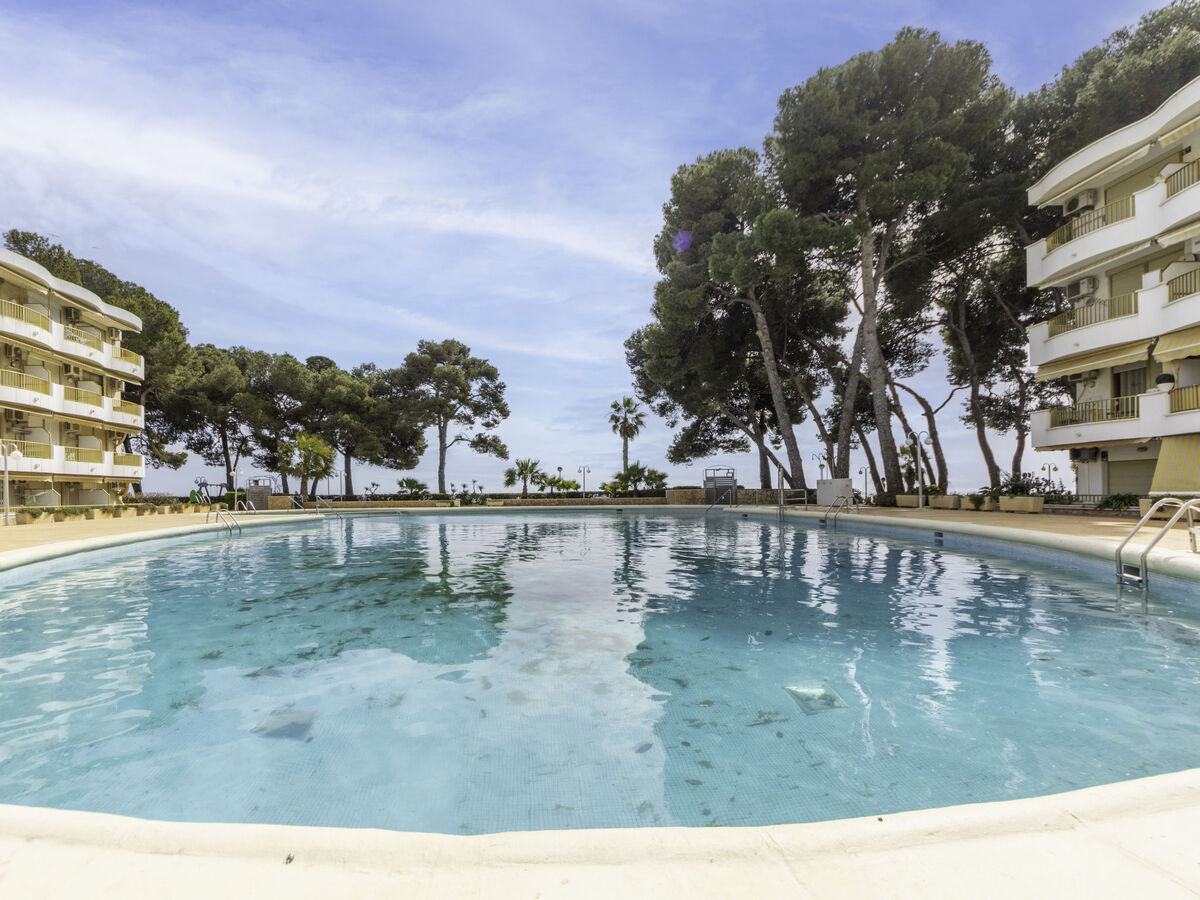 Studio International 34m² face à la mer, Cambrils - Photo 16