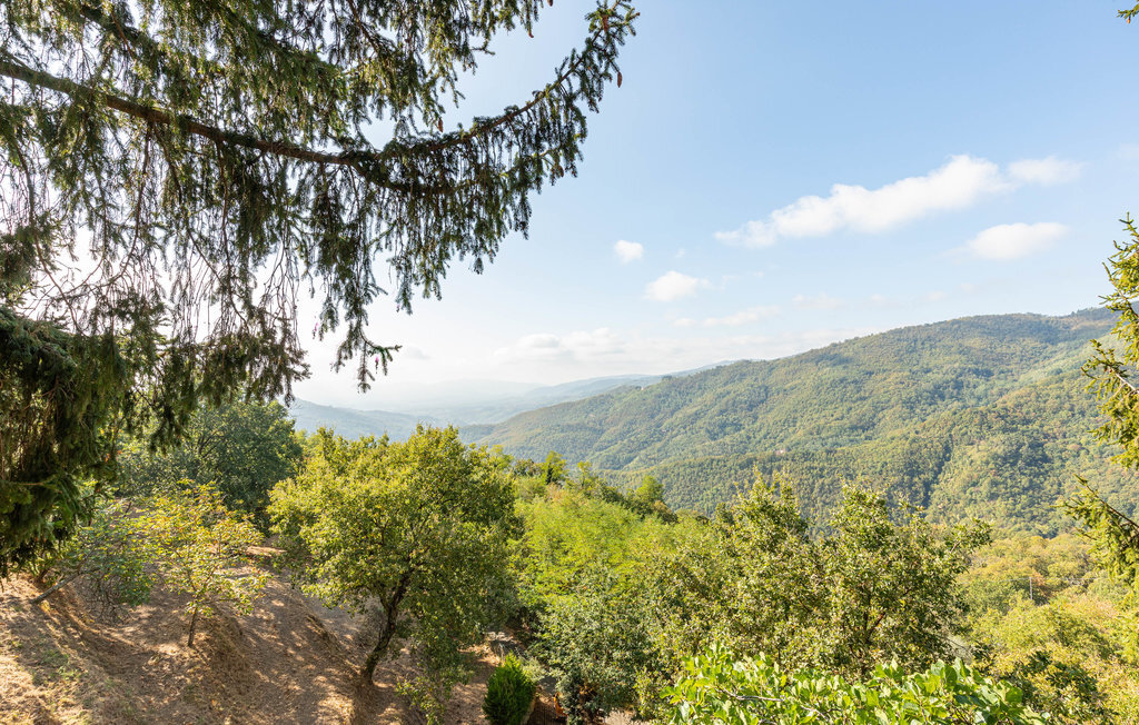 Maison 8 personnes à Villa di Piteccio - Photo 10