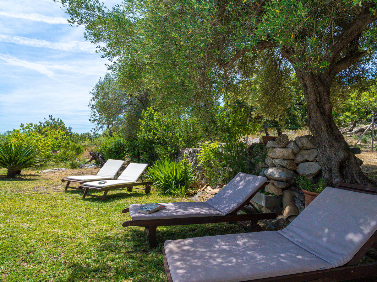 Villa Sa Coma Caimari - 3 chambres, piscine privée - Photo 37