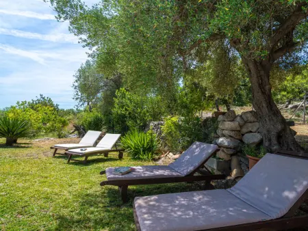Sa Coma Caimari, Villa 4 personnes à Caimari - Photo 36