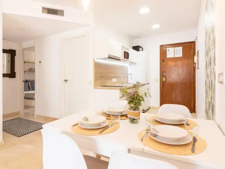 Appartement vue mer Malagueta, 2 chambres climatisé : photo 13