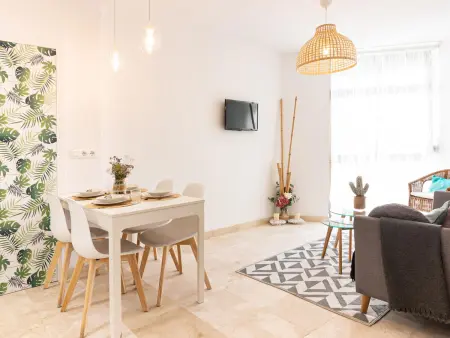 Appartement vue mer Malagueta, 2 chambres climatisé : photo 14