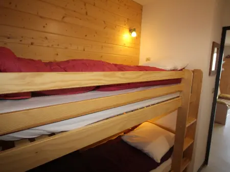 Studio cabine 100m des pistes, vue Ecrins, parking gratuit : photo 7