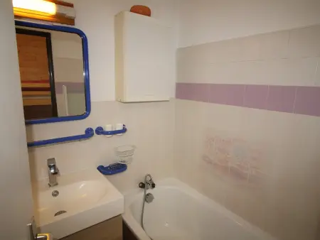 Studio cabine 100m des pistes, vue Ecrins, parking gratuit : photo 8