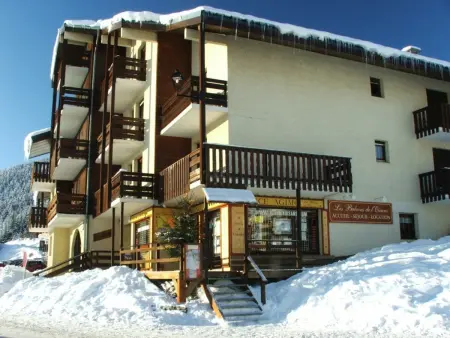 Studio cabine 100m des pistes, vue Ecrins, parking gratuit : photo 10