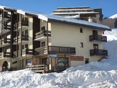 Studio cabine 100m des pistes, vue Ecrins, parking gratuit : photo 11
