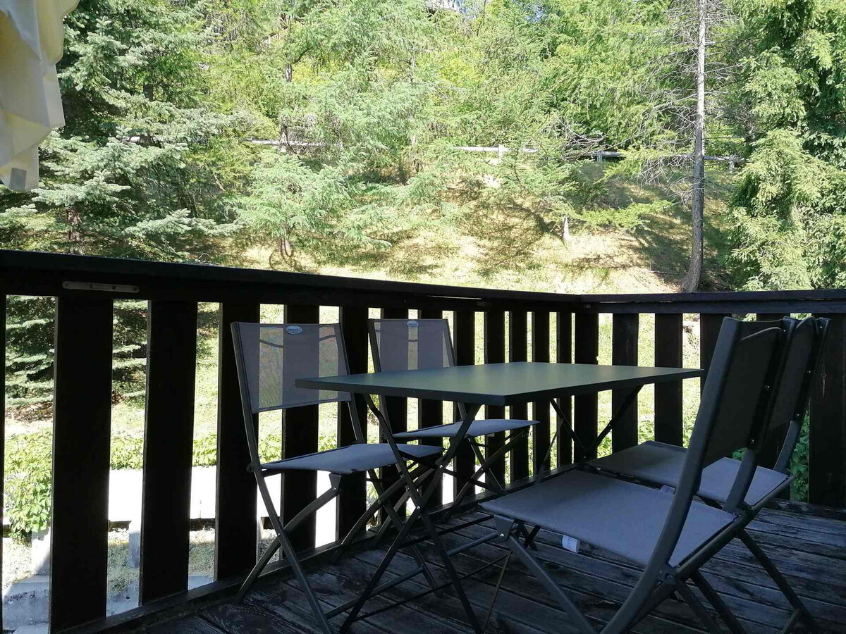 Appartement 2 pièces balcon forêt à Pra-Loup 1500 - Photo 6