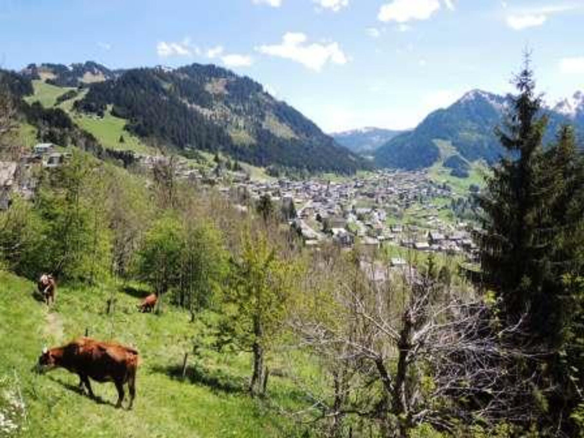 Appartement 4 pers, balcon sud-est vue montagnes à Châtel - Photo 6