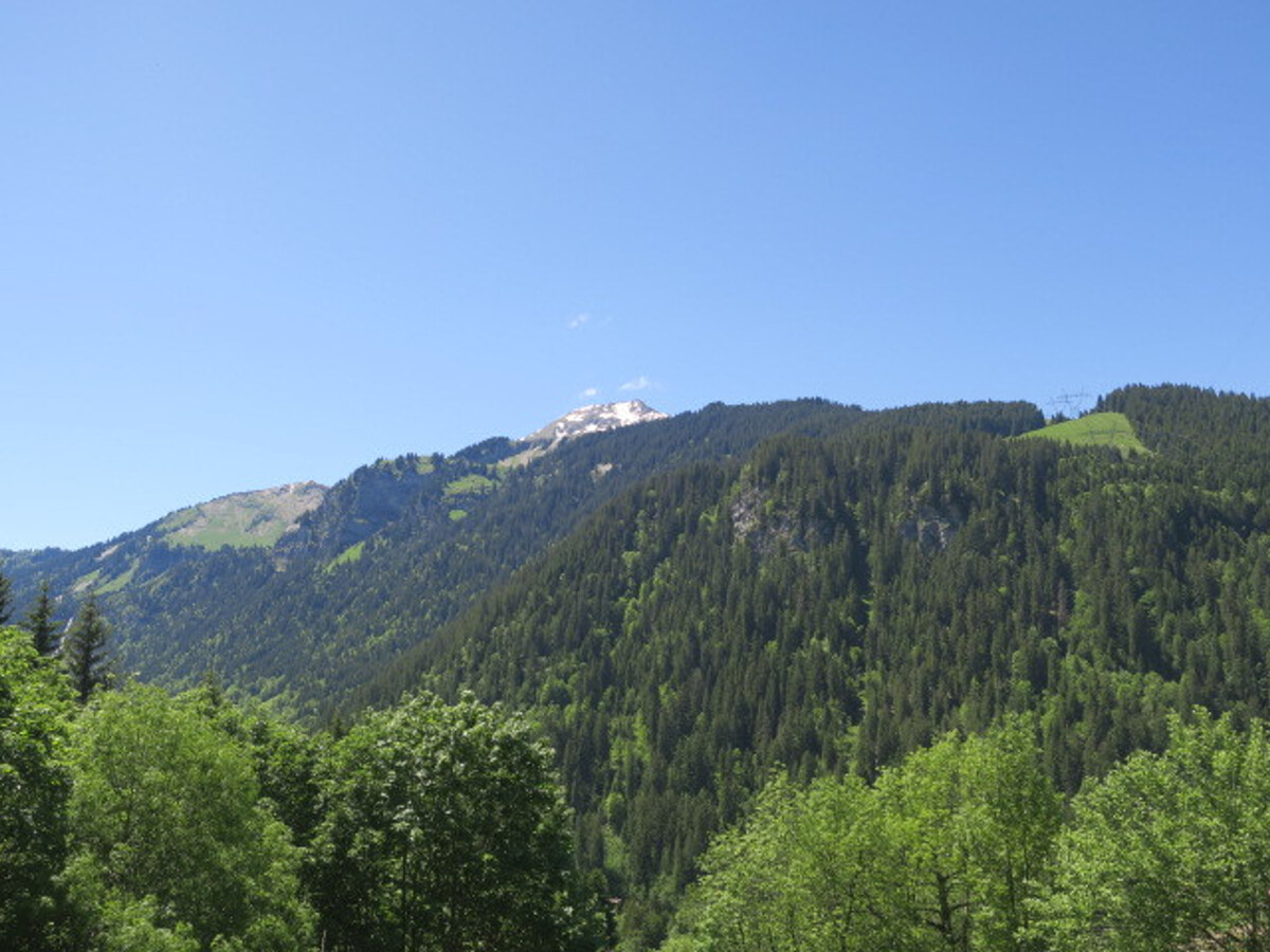 Appartement 4 pers. avec balcon sud-ouest à Châtel - Photo 6