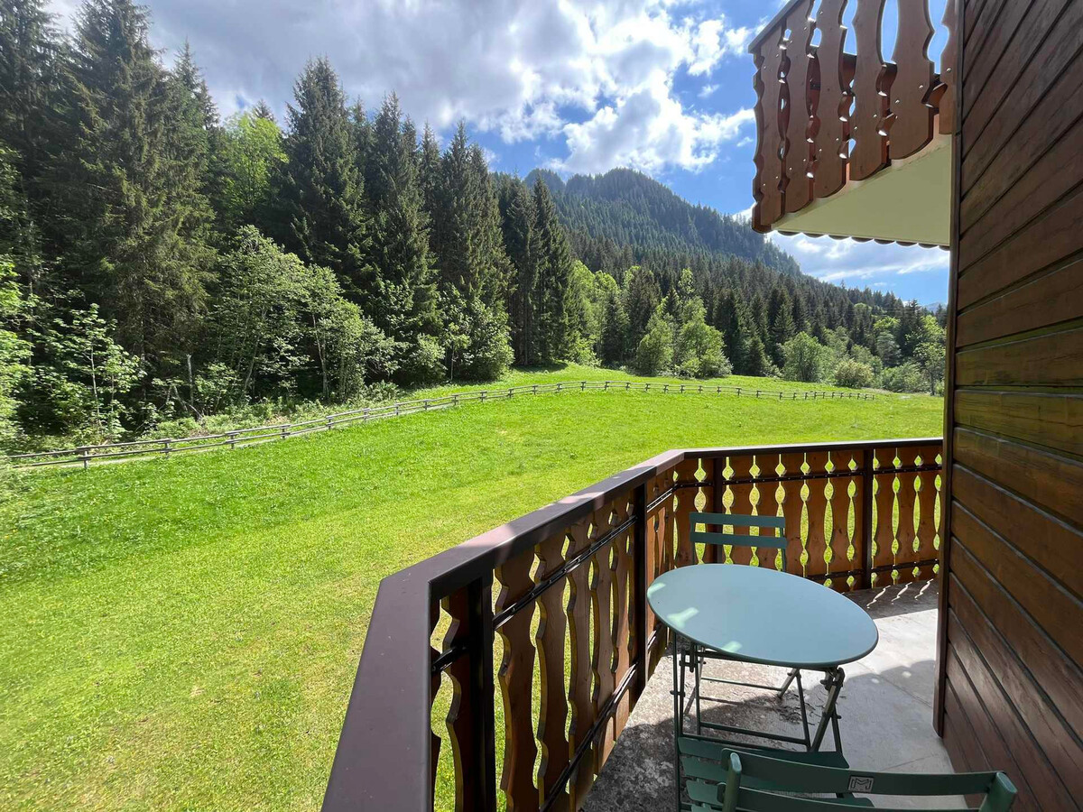 Appartement 2 chambres Châtel, balcon vue montagne - Photo 9