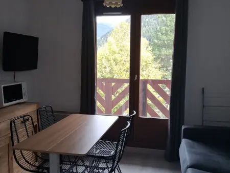 Studio 3 personnes à Bourg Saint Maurice, animaux admis, proche funiculaire : photo 12