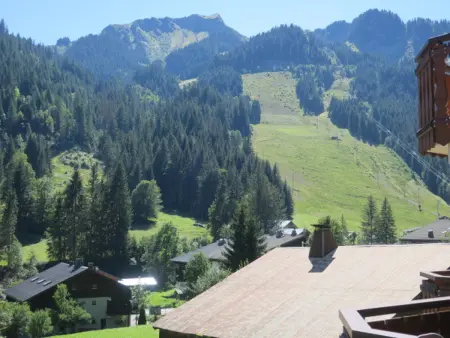 Appartement 6 pers., 1 chambre, balcon sud à Châtel : photo 6