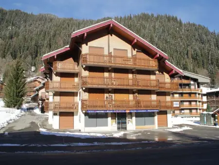 Appartement 2 pièces avec balcon et garage à Châtel : photo 14