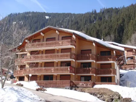 Appartement 2 pièces avec balcon et garage à Châtel : photo 15