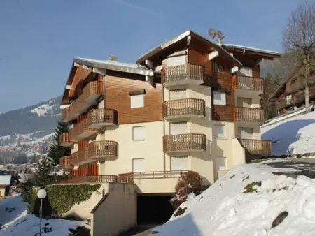 Appartement 2 pièces à Châtel, garage et raclette : photo 15