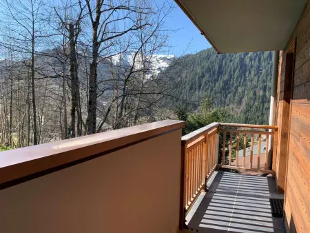 Appartement 4 pièces Châtel, local skis et terrasse panoramique : photo 15