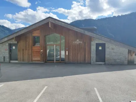 Appartement 4 pièces Châtel, local skis et terrasse panoramique : photo 17
