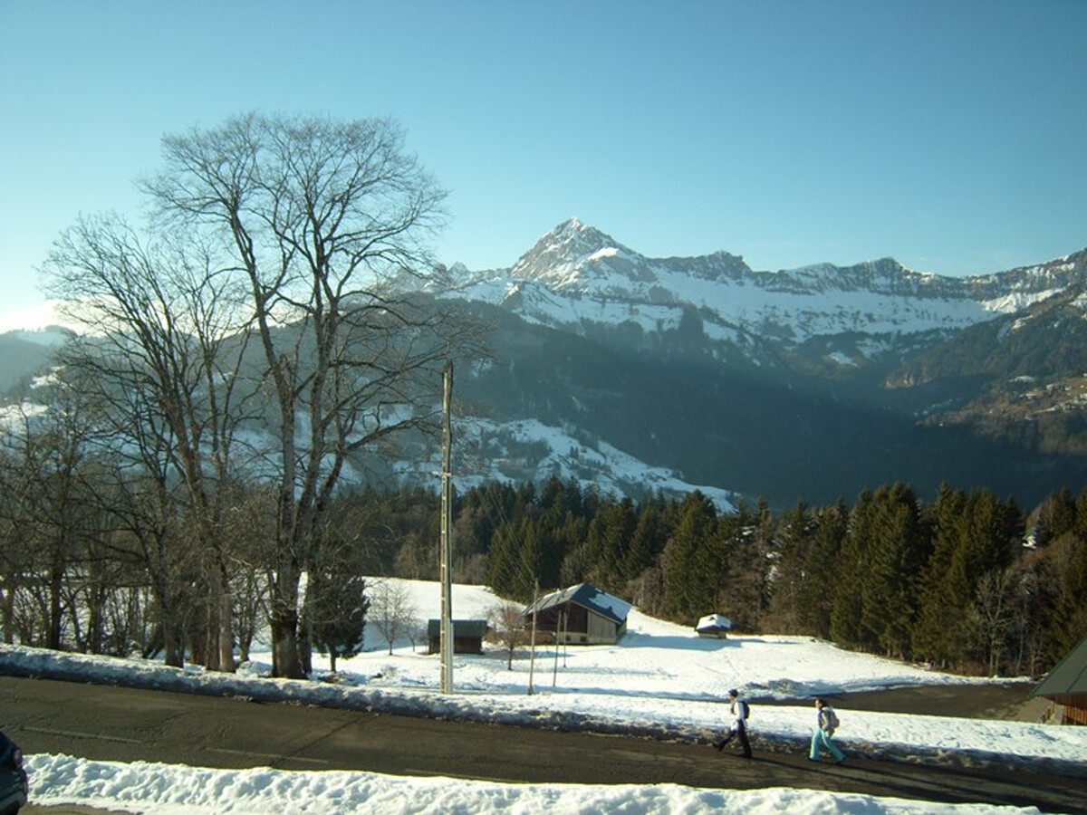 Chalet 8 pers. à 350m des pistes, garage et poêle - Photo 10